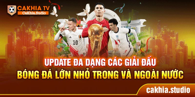Update đa dạng các giải đấu bóng đá lớn nhỏ trong và ngoài nước
