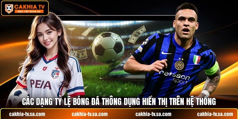 Các dạng tỷ lệ bóng đá thông dụng hiển thị trên hệ thống 
