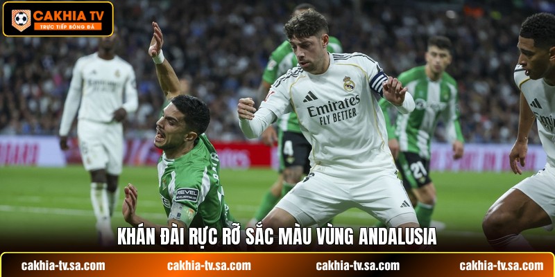 Khán đài rực rỡ sắc màu vùng Andalusia